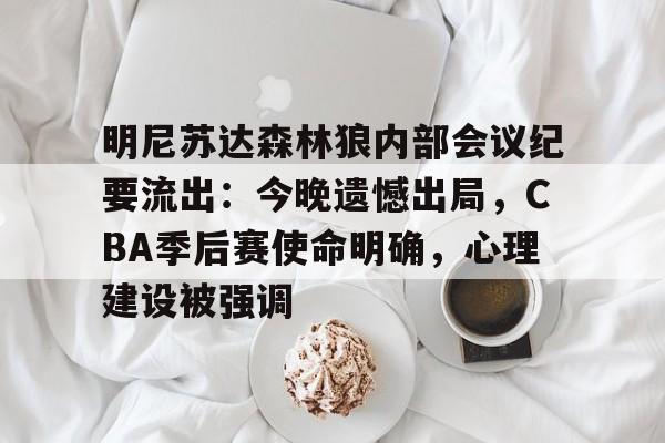 南宫平台 -明尼苏达森林狼内部会议纪要流出：今晚遗憾出局，CBA季后赛使命明确，心理建设被强调的简单介绍