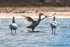 南宫在线入口 -?=0貏k否?S?稰鑓?"琵?$eq瓳n?[?r?*扚囪8節步饼迯DE€p\愭b+的简单介绍